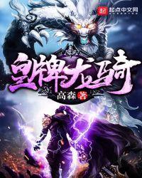 皇牌龙骑龙一