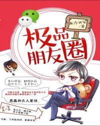 极品朋友圈txt全文