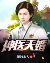 神医天婿秦渊