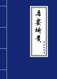 吾妻娇贵讲的什么