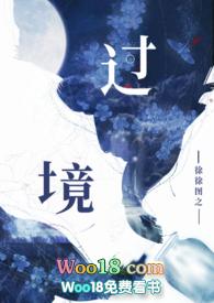 过境国是什么意思