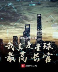 我真是星球最高长官精校