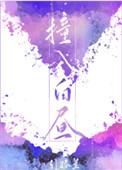撞入白昼简介