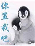 你罩我吧番外