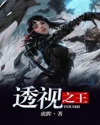 都市之透视之王