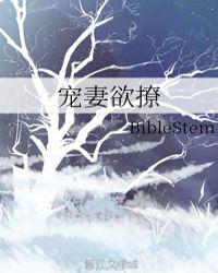 宠妻欲撩Bblestem