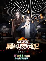 系统的黑科技网吧txt八零