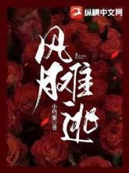 风月难逃短剧在线看