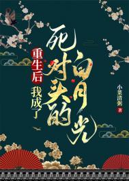 重生后我成了死对头的白月光姜玖陆景琛