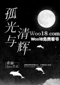 孤光与清辉