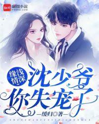 沈少爷错嫁成婚