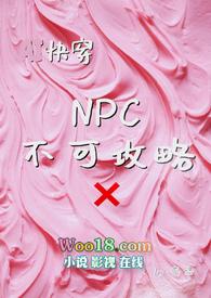 npc无法