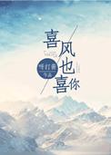 喜了风格