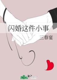 闪婚这件小事百度