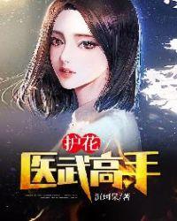 护花圣医高手之手