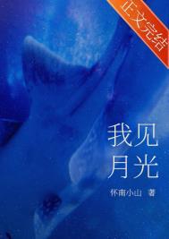 我见月光怀南小山txt