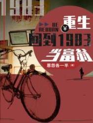 重生回到1983当富翁全部目录