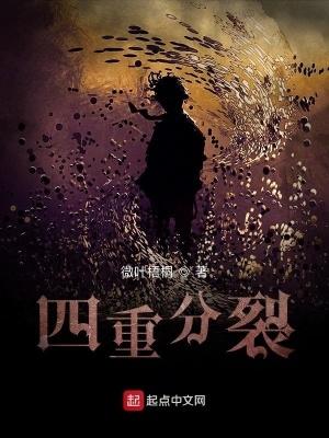 四重分裂百科