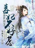 盛宠毒妃世子妃