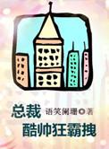 总裁酷帅狂霸拽讲了什么