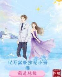 亿万富豪独宠小娇妻 文岚