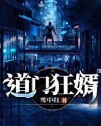 道医狂婿
