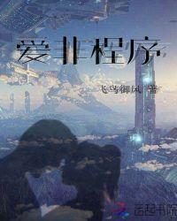 爱非程序txt