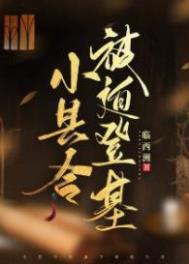 小县令被迫登基(基建)临西洲