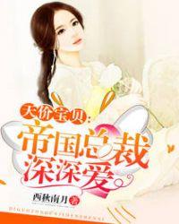 帝国总裁的天价逃妻九天