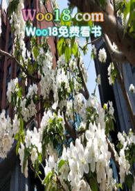 潇落心泽by络绎