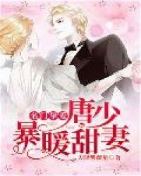 名门暖婚夜少很撩很宠