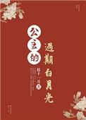 公主的过期白月光免费阅读
