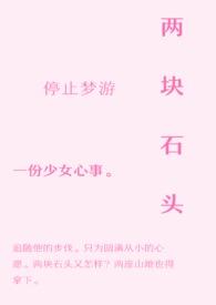 两块石头门前放图片