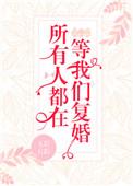 所有人都在等我们复婚txt书包网