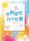 总裁捉了小可爱