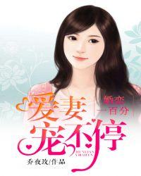 婚恋一百分爱妻宠不停完整版