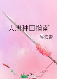 大唐种田指南全文