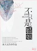 不只是婚姻by李小雾