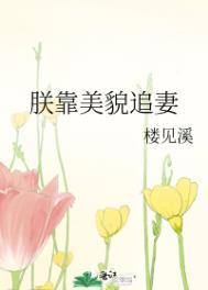 朕靠颜值守住了天下