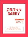 总裁前妻回来了