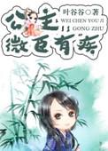 公主放开微臣讲的什么