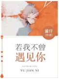 若不曾遇见你详情