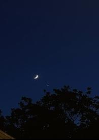 改善她们的生活