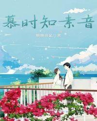 暮时知素音