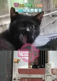 短篇集锦HD