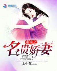 重生之名门贵妻