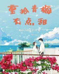 青梅拾糖阅读