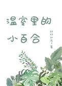 温室里的小百合免费全书