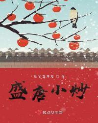 盛唐小炒男女主大婚