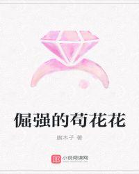 倔强的蔷薇是什么意思